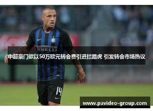 中超豪门欲以50万欧元转会费引进拦路虎 引发转会市场热议