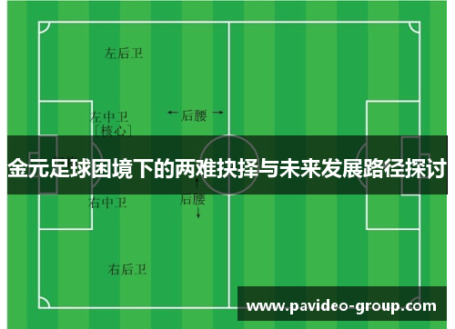 金元足球困境下的两难抉择与未来发展路径探讨
