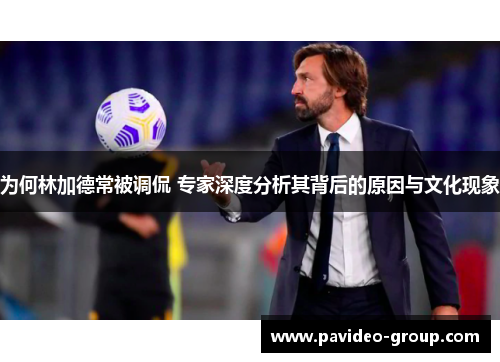 为何林加德常被调侃 专家深度分析其背后的原因与文化现象