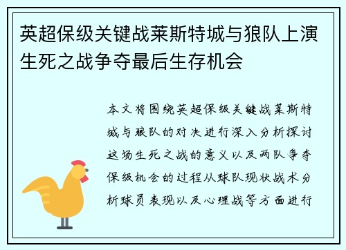 英超保级关键战莱斯特城与狼队上演生死之战争夺最后生存机会